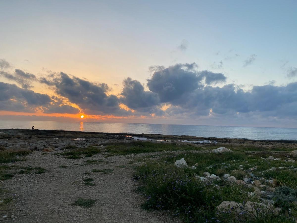 Melania Gardens Apartment 2 Paphos 外观 照片